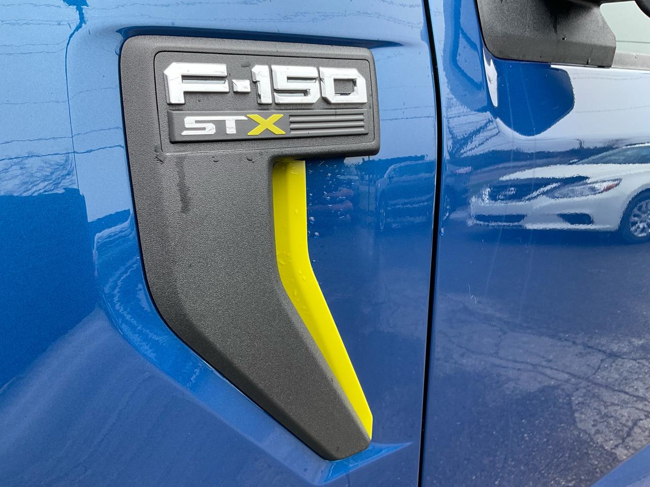 2024 Ford F-150 STX Photo5
