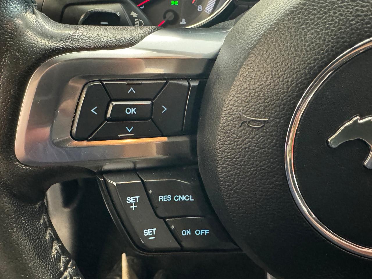 2017 Ford Mustang V6+New Tires+Bluetooth+Camera Photo95