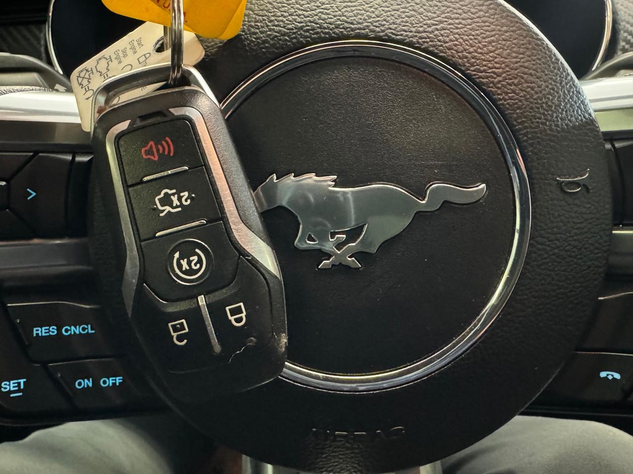 2017 Ford Mustang V6+New Tires+Bluetooth+Camera Photo72