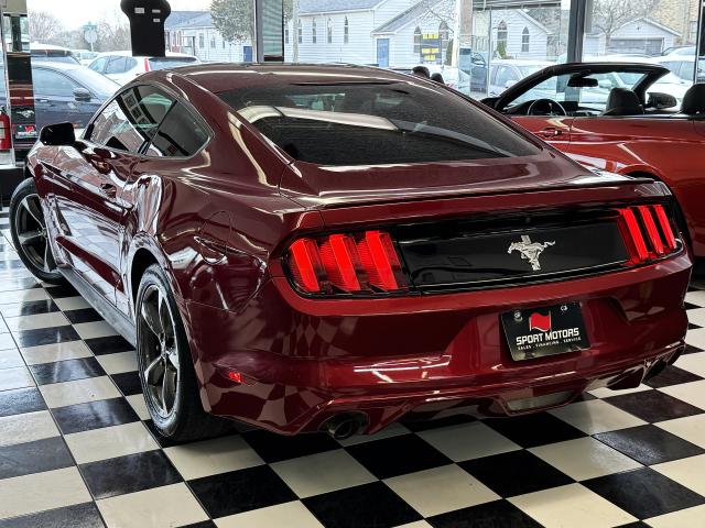 2017 Ford Mustang V6+New Tires+Bluetooth+Camera Photo13
