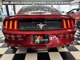 2017 Ford Mustang V6+New Tires+Bluetooth+Camera Photo60