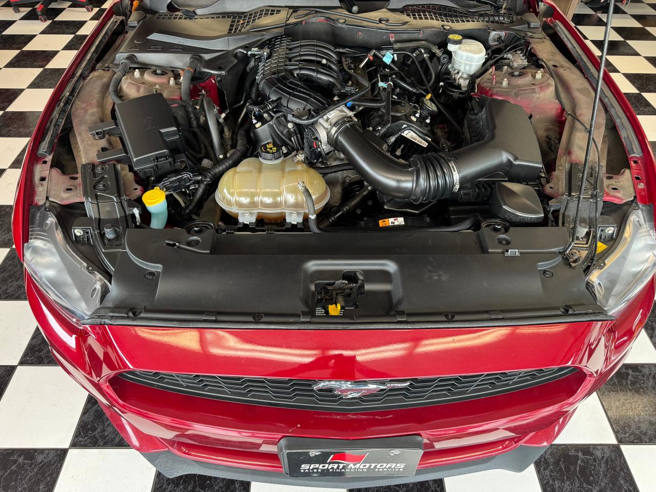 2017 Ford Mustang V6+New Tires+Bluetooth+Camera - Photo #7