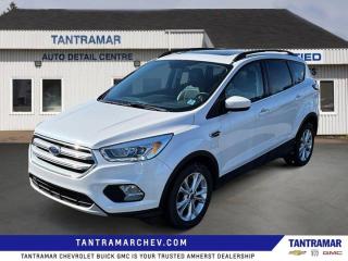 Used 2017 Ford Escape SE NEW MVI for sale in Amherst, NS