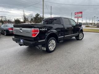 2012 Ford F-150 4WD SuperCrew 157  Platinum NO ACCIDENT SAFETY NAV - Photo #12