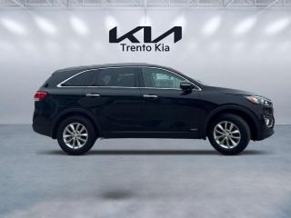 2017 Kia Sorento LX All Wheel Drive, 2.4L Direct Injection 4-cylinder engine, 6-speed automatic transmission, heated seats, bluetooth connectivity, rear parking assist, steering wheel mounted controls, vehicle stability management, traction control, brake assist system, hill-start assist control, 17 inch alloy wheels and so much more!   Contact our Pre-Owned sales department to find out more and book your appointment today.



ASK ABOUT OUR COMPLIMENTARY ON-SITE PROFESSIONAL APPRAISAL SERVICES. WE ACCEPT ALL MAKE AND MODEL TRADE IN VEHICLES. JUST WANT TO SELL YOUR CAR? WE BUY EVERYTHING! DO YOU HAVE BAD CREDIT, BRUISED CREDIT, CONSUMER PROPOSAL, BANKRUPTCY, NO CREDIT? NO PROBLEM! We have one of the highest approval rates due to our team of highly experienced financial service specialists! Come and receive a free, no-obligation consultation to discuss our highly successful credit rebuilding program!



Youll get a transparent vehicle purchase experience with No hidden fees, just HST and licensing. PRICE BASED ON FINANCING ONLY. Youll enjoy a negotiation-free experience, saving time and effort because our vehicles are priced to market.



This vehicle has been fully inspected by our Kia trained technician and is in outstanding condition.



Trento Motors proudly serving all over Ontario since 1959 and we are one of the most TRUSTED dealerships in Toronto. We are serving in North York, Toronto, Etobicoke, Mississauga, Vaughan, Woodbridge, Richmond Hill, Thornhill, Markham, Scarborough, Brampton, Bolton, Newmarket, Aurora, Oakville, Burlington, Hamilton, Milton, Guelph, Kitchener, Waterloo, Cambridge, Georgetown, Ajax, Whitby, Oshawa, Guelph, Kitchener, Waterloo, Cambridge, Georgetown, Goderich, Owen Sound, Collingwood, Wasaga Beach, Barrie and the rest of the Greater Toronto Area (GTA Peel, York and Durham)