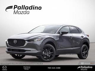 <b>Navigation,  Leather Seats,  Premium Audio,  HUD,  Sunroof!</b><br> <br> <br> <br>  The versatile design of the 2024 Mazda CX-30 offers ease and agility without compromising on capability and space. <br> <br>Designed for an effortless drive, the luxurious CX-30 is sure to impress. Its refined cabin is quiet, instilling a feeling of tranquility behind the wheel. With plenty of cabin space, this gorgeous compact SUV is ready to handle any task you put in front of it. Innovative performance is not just about power, its about a responsive and engaging drive that connects you to the road.<br> <br> This 46g machinegrey SUV  has an automatic transmission and is powered by a  2.5L I4 16V GDI DOHC Turbo engine.<br> <br> Our CX-30s trim level is GT w/Turbo. This range-topping CX-30 GT is loaded with genuine leather upholstery, a sonorous 12-speaker Bose premium audio system, inbuilt navigation, a drivers heads up display, a power liftgate for rear cargo access, an express open/close glass sunroof, and unique gunmetal finish alloy wheels. Standard features also include adaptive cruise control, a heated steering wheel, heated front seats, 60-40 folding bench rear seats, proximity key with push button start, Apple CarPlay, Android Auto, and an 8.8-inch infotainment screen. Additional features include active lane keeping assist, lane departure warning, rear cross-traffic alert with automatic emergency braking, blind spot monitoring, rear cross traffic alert, front and rear cupholders, smart device remote engine start, LED headlights with perimeter approach lights, and even more! This vehicle has been upgraded with the following features: Navigation,  Leather Seats,  Premium Audio,  Hud,  Sunroof,  Power Liftgate,  Adaptive Cruise Control. <br><br> <br>To apply right now for financing use this link : <a href=https://www.palladinomazda.ca/finance/ target=_blank>https://www.palladinomazda.ca/finance/</a><br><br> <br/>    Incentives expire 2024-05-31.  See dealer for details. <br> <br>Palladino Mazda in Sudbury Ontario is your ultimate resource for new Mazda vehicles and used Mazda vehicles. We not only offer our clients a large selection of top quality, affordable Mazda models, but we do so with uncompromising customer service and professionalism. We takes pride in representing one of Canadas premier automotive brands. Mazda models lead the way in terms of affordability, reliability, performance, and fuel efficiency.<br> Come by and check out our fleet of 90+ used cars and trucks and 110+ new cars and trucks for sale in Sudbury.  o~o