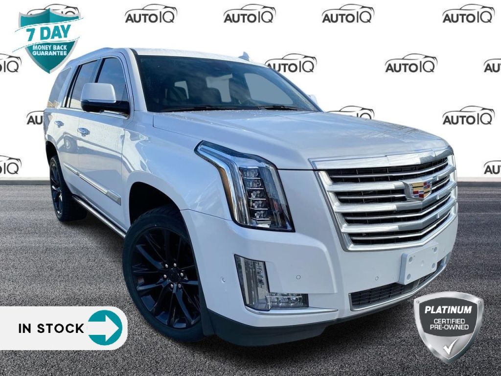 Used 2020 Cadillac Escalade Platinum LUXURY FULL SIZE SUV for Sale in Grimsby, Ontario