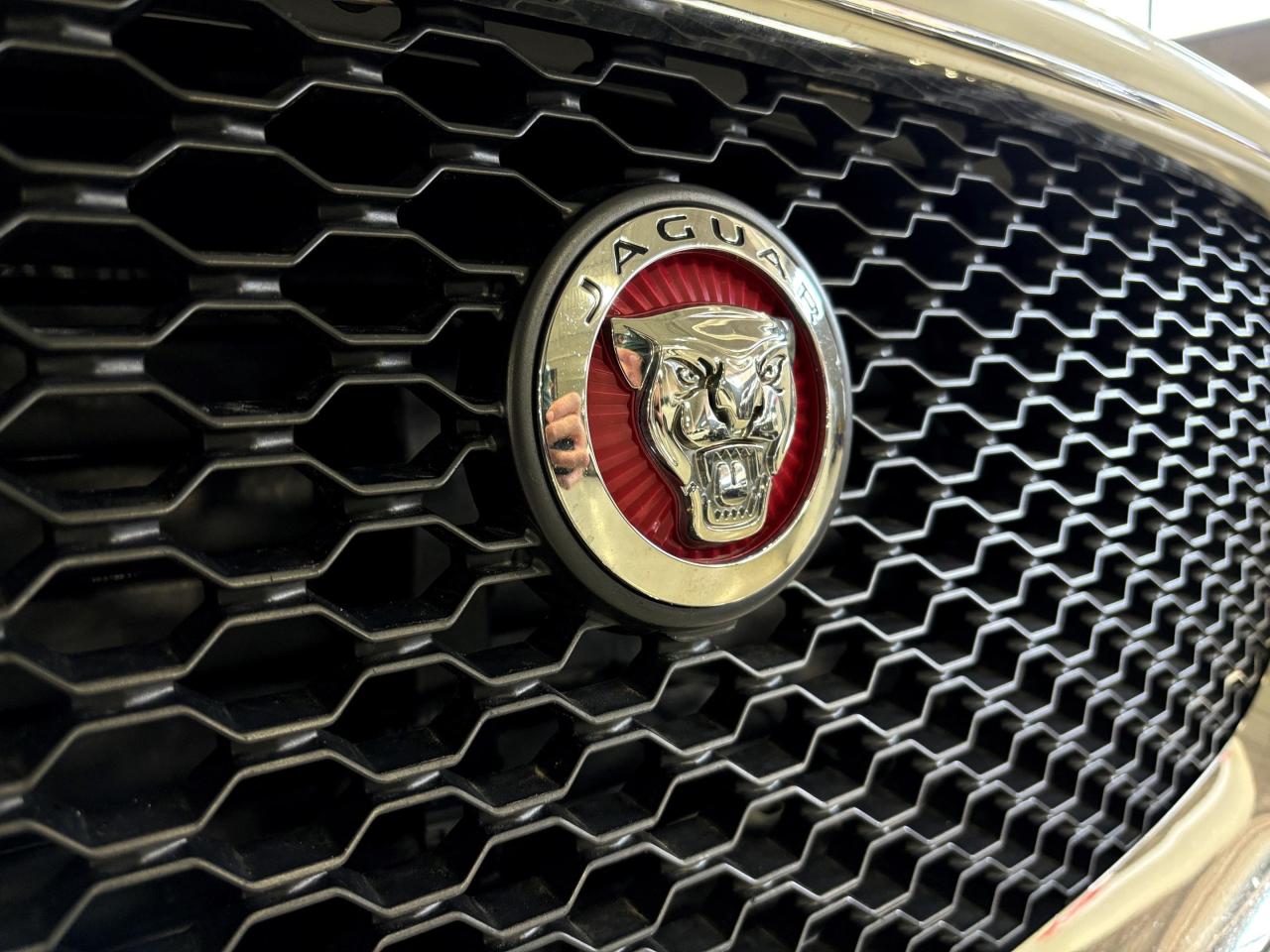 2019 Jaguar F-PACE 30t Prestige|AWD|NAV|MERIDIAN|AMBIENT|PANROOF|WOOD - Photo #3