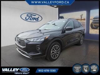 $1000 provincial rebate is available on this 2023 Escape Plug In Hybrid!