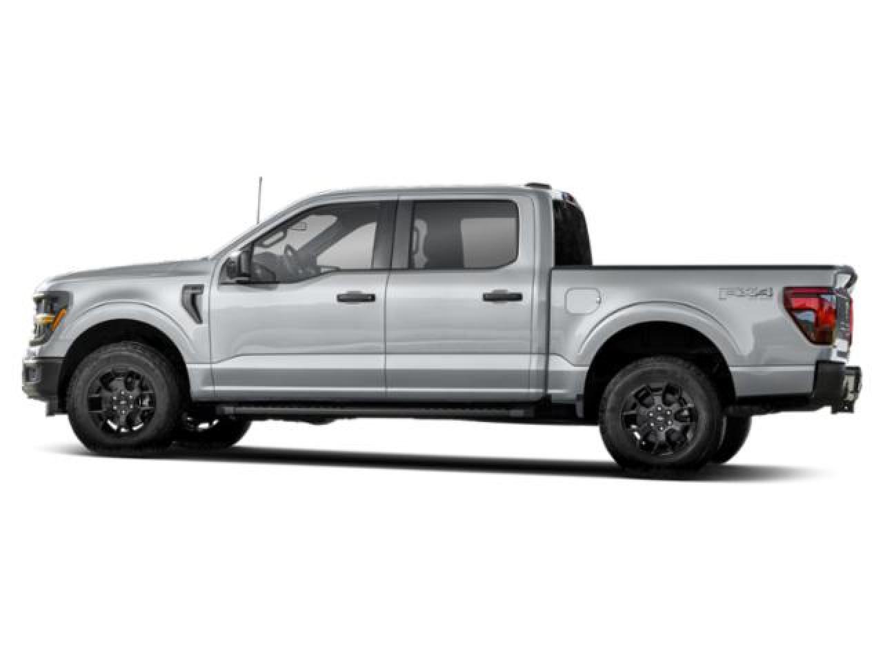 2024 Ford F-150 STX Photo