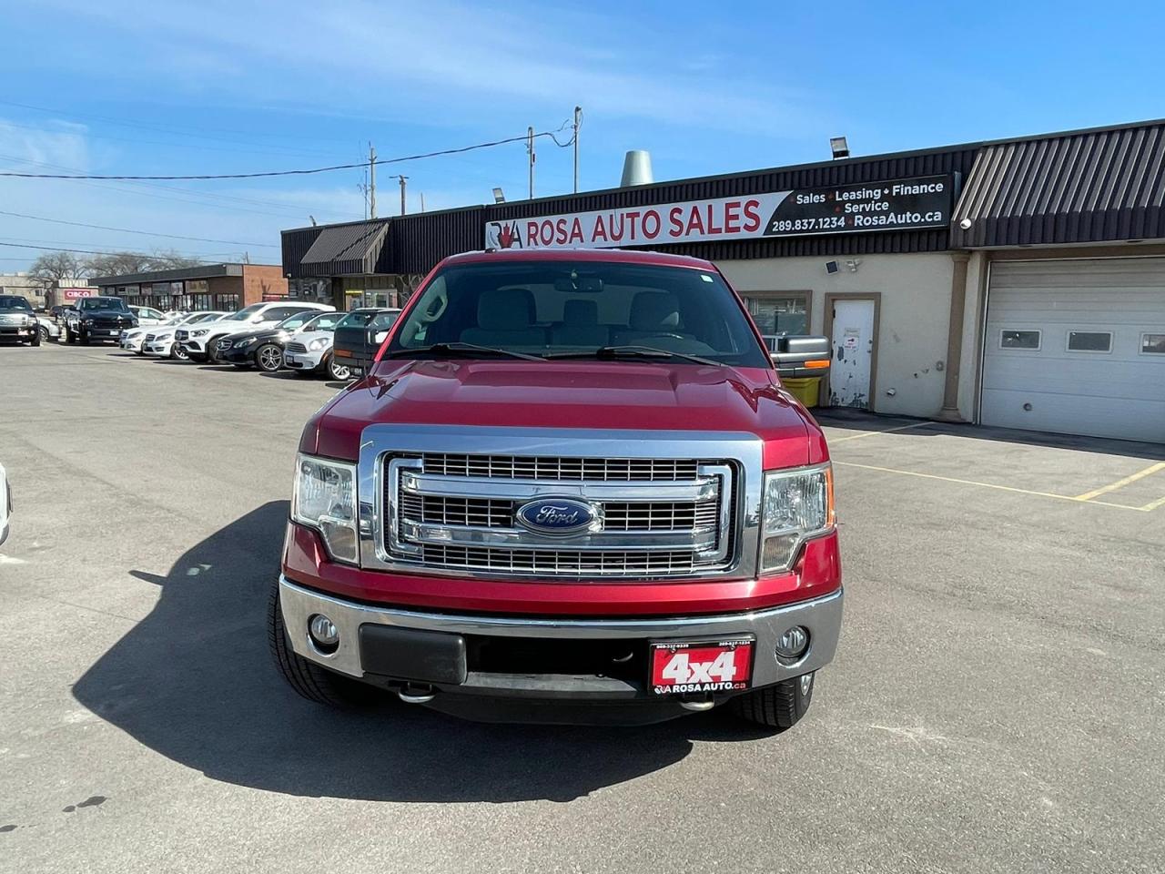 2013 Ford F-150 4WD STR SUPERCREW 157" NO ACCIDENT CAMERA SAFETY - Photo #14