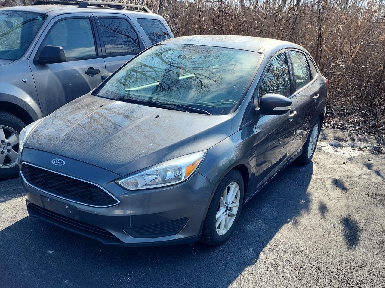 2016 Ford Focus SE - Photo #1