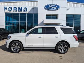 Used 2020 Ford Expedition Platinum for sale in Swan River, MB