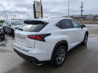 2015 Lexus NX 200t  - Photo #3