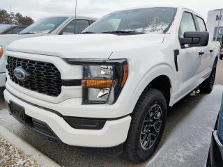 New 2023 Ford F-150 XL for sale in Pembroke, ON