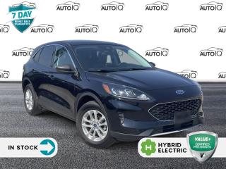Recent Arrival!


Remote Start, 2.5L iVCT, eCVT, AWD, 6 Speakers, Adaptive Cruise Control (ACC) w/Stop & Go, AM/FM radio: SiriusXM, Brake assist, Dual-Zone Electronic Automatic Temperature Control, Electronic Fuel Door Release, Electronic Stability Control

Equipment Group 201A, Evasive Steering Assist, Ford Co-Pilot360 Assist+, Instrument Panel w/6.5 Digital Screen, Lane Departure Warning System, Neutral Towing Capability, Pedestrian Alert Sounder, Speed Sign Recognition, Speed-sensing steering, SYNC 3 Communications & Entertainment System, Voice-Activated Touchscreen Navigation System, Wheels: 17 Shadow Silver-Painted Aluminum.

Agate Black Metallic 2022 Ford Escape SE Hybrid 4D Sport Utility 2.5L iVCT eCVT AWD
<p> </p>

<h4>VALUE+ CERTIFIED PRE-OWNED VEHICLE</h4>

<p>36-point Provincial Safety Inspection<br />
172-point inspection combined mechanical, aesthetic, functional inspection including a vehicle report card<br />
Warranty: 30 Days or 1500 KMS on mechanical safety-related items and extended plans are available<br />
Complimentary CARFAX Vehicle History Report<br />
2X Provincial safety standard for tire tread depth<br />
2X Provincial safety standard for brake pad thickness<br />
7 Day Money Back Guarantee*<br />
Market Value Report provided<br />
Complimentary 3 months SIRIUS XM satellite radio subscription on equipped vehicles<br />
Complimentary wash and vacuum<br />
Vehicle scanned for open recall notifications from manufacturer</p>

<p>SPECIAL NOTE: This vehicle is reserved for AutoIQs retail customers only. Please, No dealer calls. Errors & omissions excepted.</p>

<p>*As-traded, specialty or high-performance vehicles are excluded from the 7-Day Money Back Guarantee Program (including, but not limited to Ford Shelby, Ford mustang GT, Ford Raptor, Chevrolet Corvette, Camaro 2SS, Camaro ZL1, V-Series Cadillac, Dodge/Jeep SRT, Hyundai N Line, all electric models)</p>

<p>INSGMT</p>