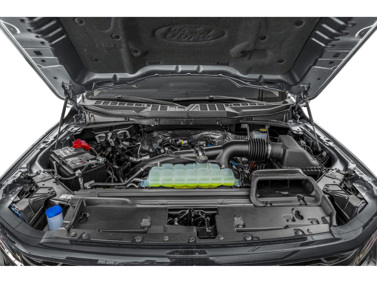 2024 Ford F-150 XLT Photo