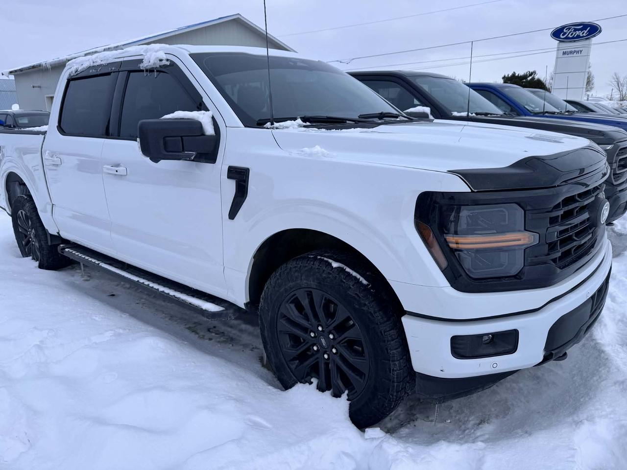 2024 Ford F-150 XLT Photo4