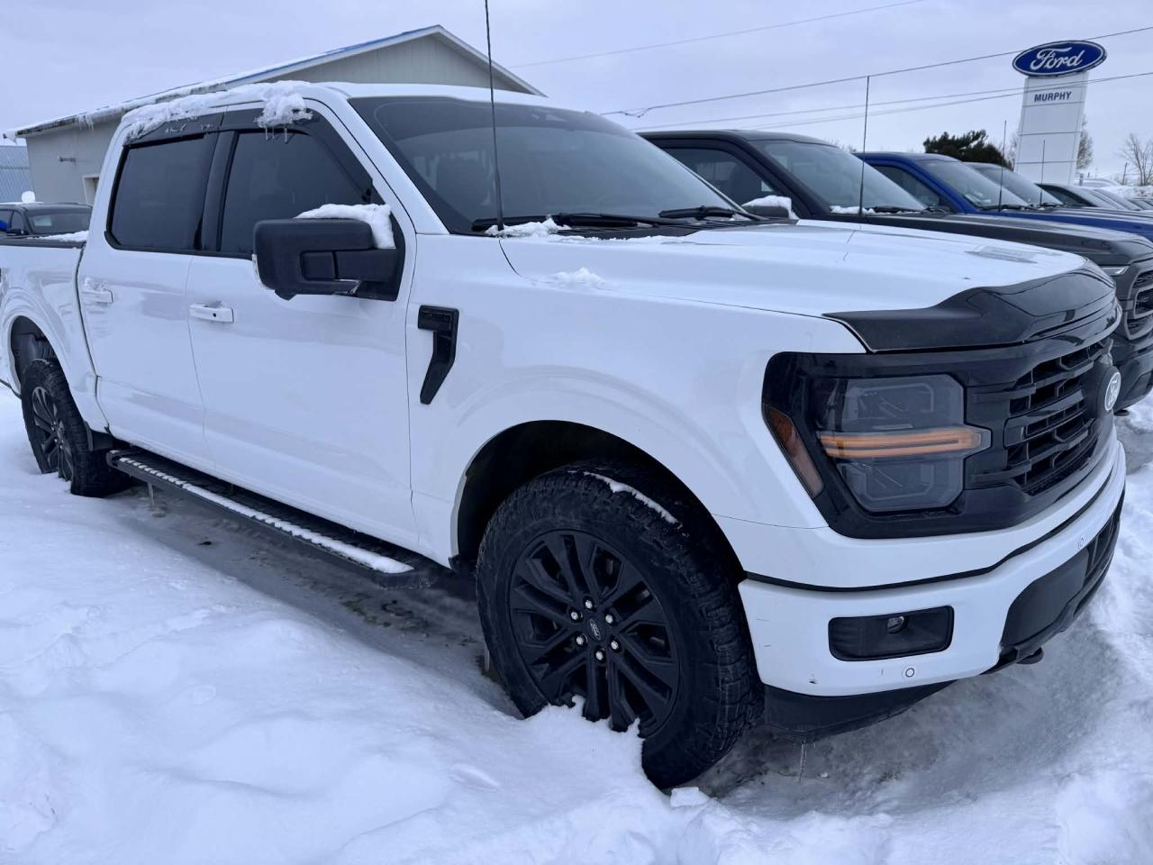 2024 Ford F-150 XLT Photo5