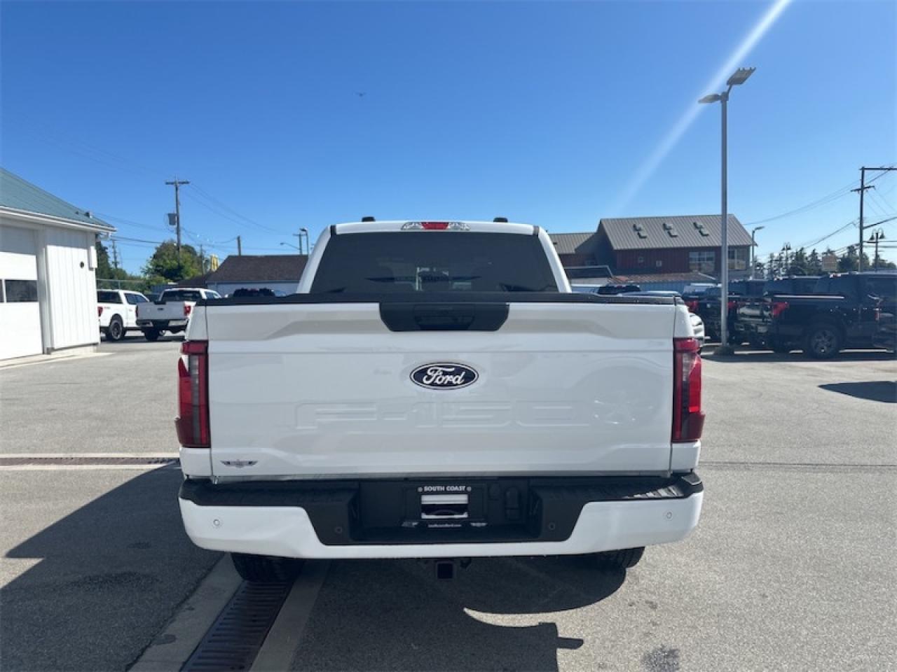 2024 Ford F-150 STX Photo3