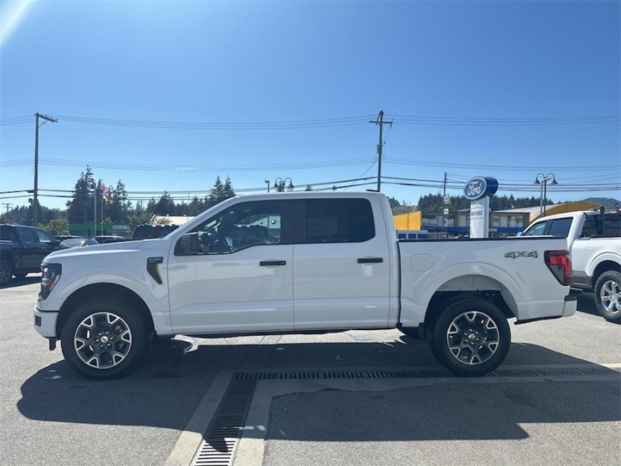 2024 Ford F-150 STX Photo