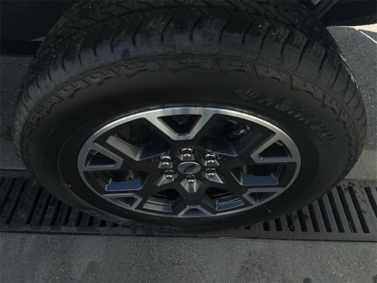 2024 Ford F-150 STX Photo5