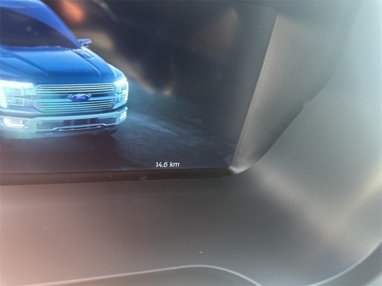 2024 Ford F-150 STX Photo5