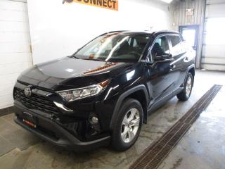 Used 2019 Toyota RAV4 XLE for sale in Peterborough, ON