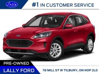 Used 2022 Ford Escape SE for sale in Tilbury, ON