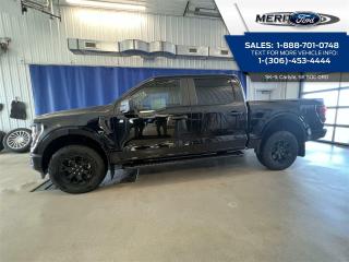 New 2024 Ford F-150 STX for sale in Carlyle, SK