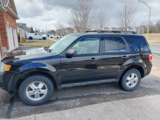 2011 Ford Escape FWD 4DR V6 AUTO XLT - Photo #2