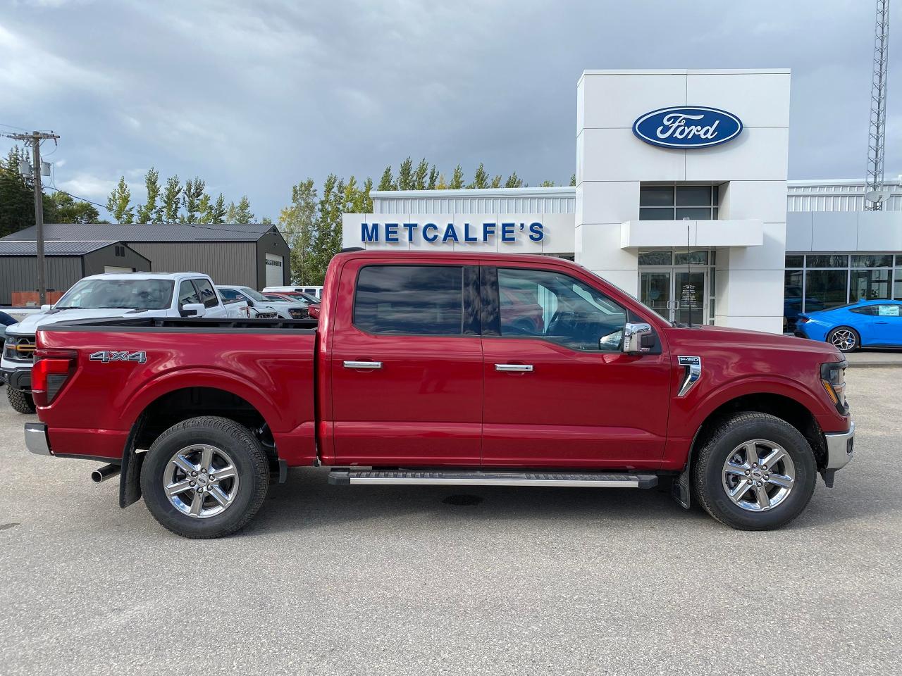 New 2024 Ford F-150 XLT 4WD SUPERCREW 5.5' BOX for sale in Treherne, MB