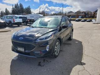 Used 2022 Ford Escape SEL for sale in Peterborough, ON