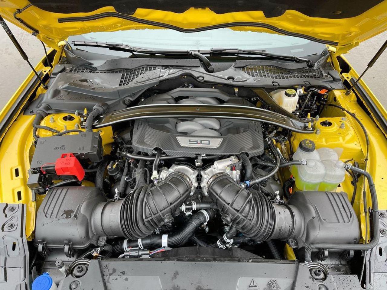2024 Ford Mustang GT Premium 401A Photo5