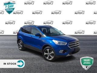 Used 2017 Ford Escape SE Leather PKG for sale in Hamilton, ON