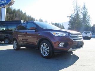 Used 2018 Ford Escape SE for sale in Salmon Arm, BC