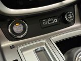 2019 Nissan Murano SL AWD+Roof+ApplePlay+Adaptive Cruise+CLEAN CARFAX Photo132
