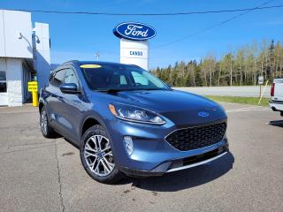 Used 2020 Ford Escape SEL AWD for sale in Port Hawkesbury, NS