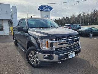 <p>2020 Ford F-150</p><p> </p><p>XLT Super Cab 4WD 5.0L V8</p><p>Black</p><p> </p><p>Odometer is 15408 kilometers below market average! 4WD, 18 Chrome-Like PVD Wheels, Apple CarPlay and Android Auto, Chrome Step Bars, Cruise Control, Equipment Group 300A Base, Rear Camera, Single-Tip Chrome Exhaust, XTR 4x4 Decal, XTR Package.</p><p> </p><p>Benefits of shopping at Canso Ford: </p><p>- Carfax report with every quality pre-owned vehicle</p><p>- Full tank of fuel with every quality pre-owned vehicle </p><p>- 1-Year Tire and Rim Protection with every quality pre-owned vehicle.</p>