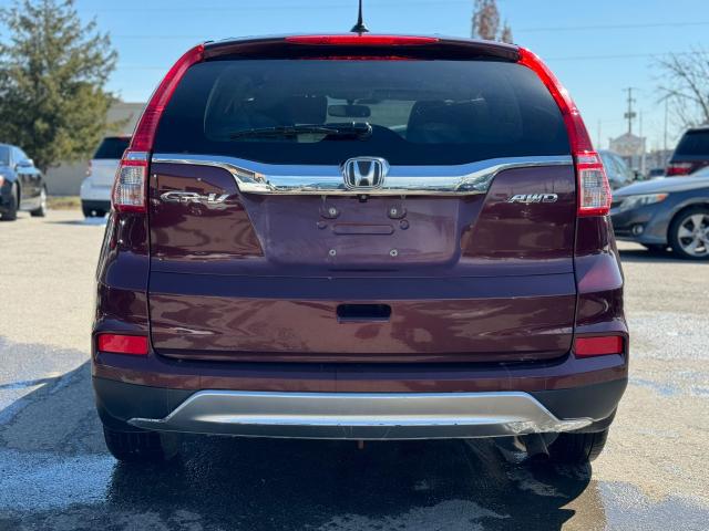 2015 Honda CR-V EX-L AWD / CLEAN CARFAX / ONE OWNER / LEATHER Photo3