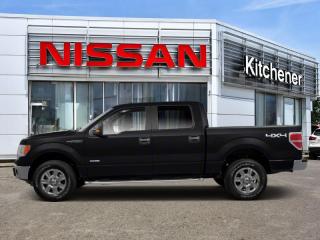 Used 2010 Ford F-150 XLT for sale in Kitchener, ON