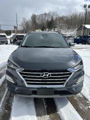 Used 2019 Hyundai Tucson Ultimate for sale in Huntsville, ON