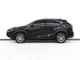 2021 Lexus NX AWD | Red Leather | Sunroof | ACC | BSM | CarPlay