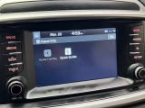 2019 Kia Sorento LX AWD+ApplePlay+Heated Steering+CLEAN CARFAX Photo97