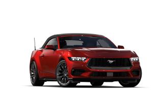 2024 Ford Mustang EcoBoost Premium Convertible Photo