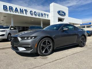<p>KEY FEATURES: 2024 Mustang, Coupe, Eco-boost, 101a, 2.3L 4cyl, 10-speed Auto, Grey, 3.15 rear end, 18 inch wheels, Back up cam, sync4, Fordpass and more </p><p><br />Please Call 519-756-6191, Email sales@brantcountyford.ca for more information and availability on this vehicle.  Brant County Ford is a family owned dealership and has been a proud member of the Brantford community for over 40 years!</p><p> </p><p><br />** PURCHASE PRICE ONLY (Includes) Fords Delivery Allowance</p><p><br />** See dealer for details.</p><p>*Please note all prices are plus HST and Licencing. </p><p>* Prices in Ontario, Alberta and British Columbia include OMVIC/AMVIC fee (where applicable), accessories, other dealer installed options, administration and other retailer charges. </p><p>*The sale price assumes all applicable rebates and incentives (Delivery Allowance/Non-Stackable Cash/3-Payment rebate/SUV Bonus/Winter Bonus, Safety etc</p><p>All prices are in Canadian dollars (unless otherwise indicated). Retailers are free to set individual prices.</p><p> </p>