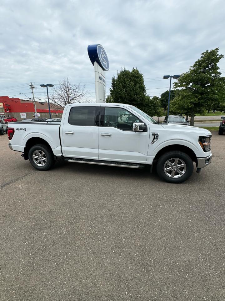 2024 Ford F-150 XLT Photo3