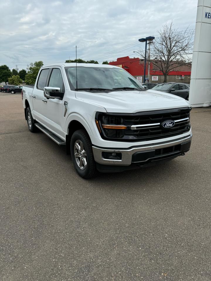 2024 Ford F-150 XLT Photo