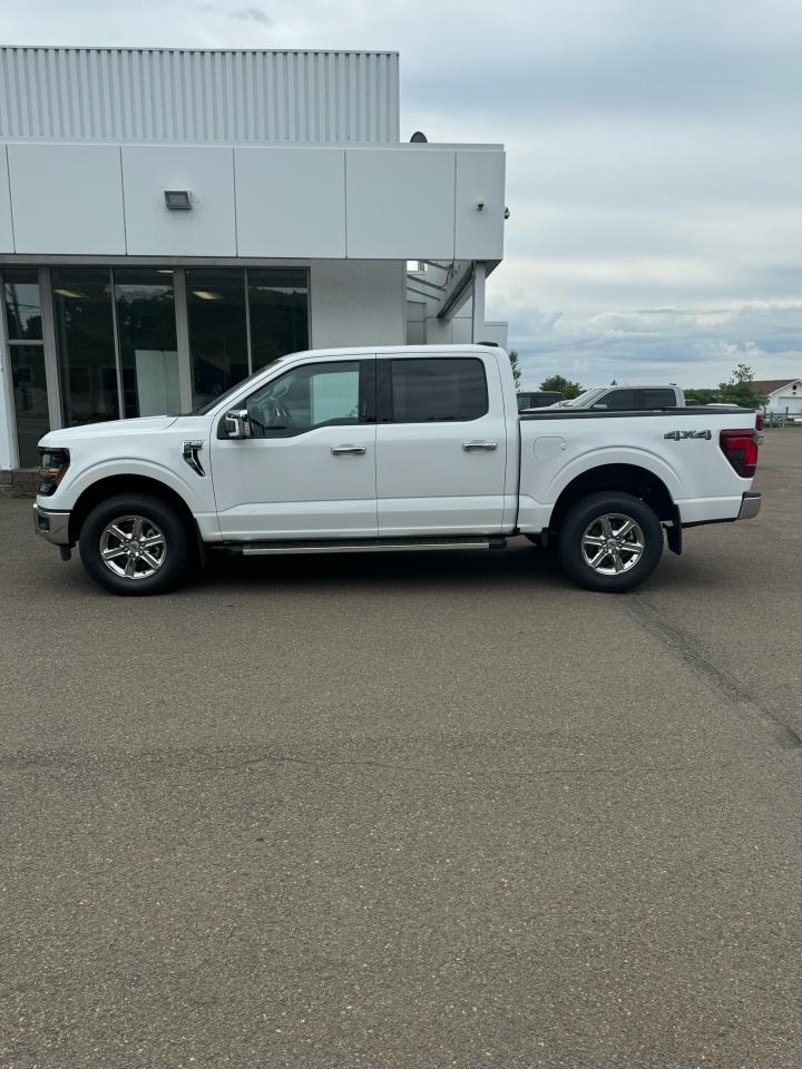 2024 Ford F-150 XLT Photo5