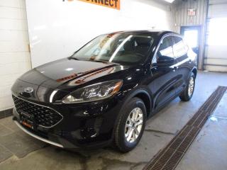 Used 2020 Ford Escape SE for sale in Peterborough, ON